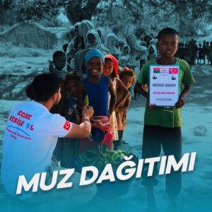 Muz Dağıtımı